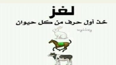 جرب حل 99 لغز صعب مع الحل