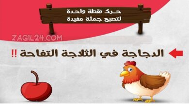 الدجاجة في الثلاجة التفاحة